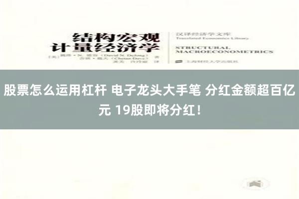 股票怎么运用杠杆 电子龙头大手笔 分红金额超百亿元 19股即将分红！