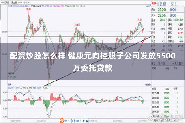 配资炒股怎么样 健康元向控股子公司发放5500万委托贷款