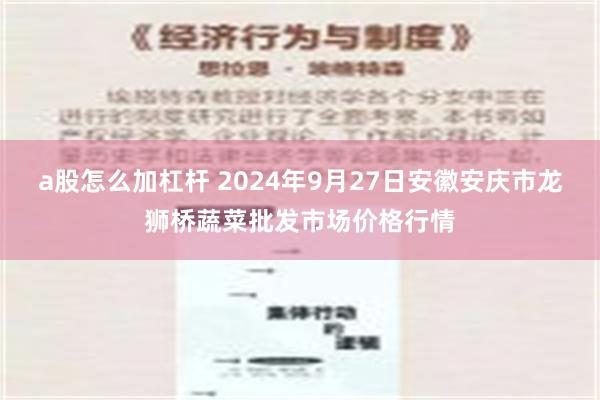 a股怎么加杠杆 2024年9月27日安徽安庆市龙狮桥蔬菜批发市场价格行情