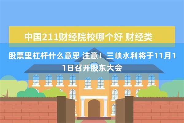 股票里杠杆什么意思 注意！三峡水利将于11月11日召开股东大会