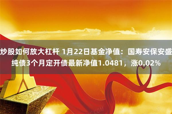 炒股如何放大杠杆 1月22日基金净值：国寿安保安盛纯债3个月定开债最新净值1.0481，涨0.02%