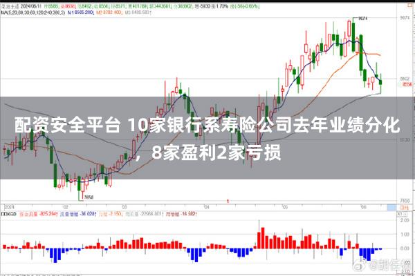 配资安全平台 10家银行系寿险公司去年业绩分化，8家盈利2家亏损